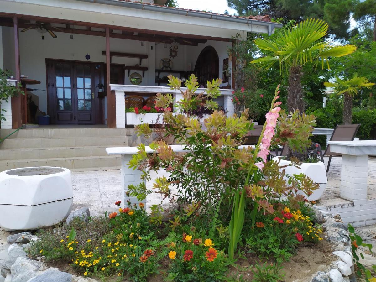 Cavo Paradiso Villa 艾斯普罗瓦塔 外观 照片